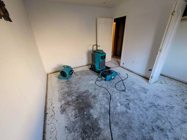 Best Water damage restoration near me  in West Peoria, IL