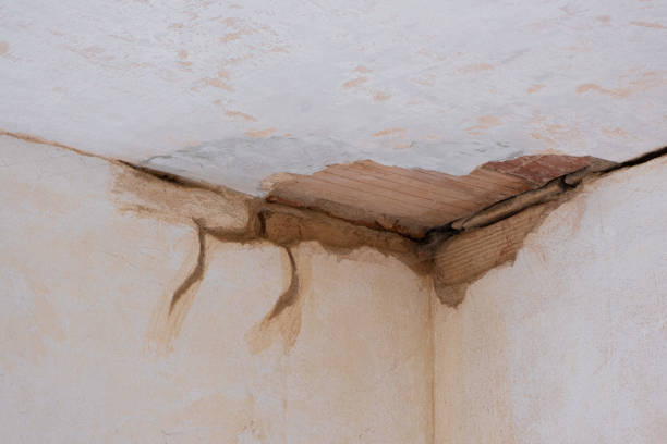 Best Professional water damage repair  in West Peoria, IL