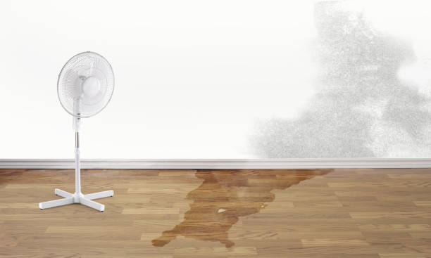 Best Flood restoration services  in West Peoria, IL