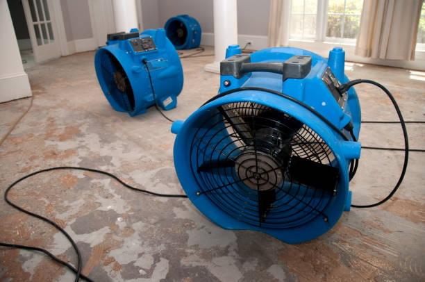 Best Water damage contractors near me  in West Peoria, IL