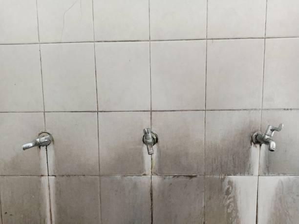 Best Emergency water extraction  in West Peoria, IL