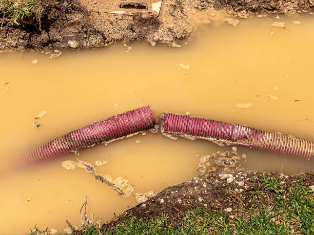 Best Sewage cleanup and water damage restoration  in West Peoria, IL