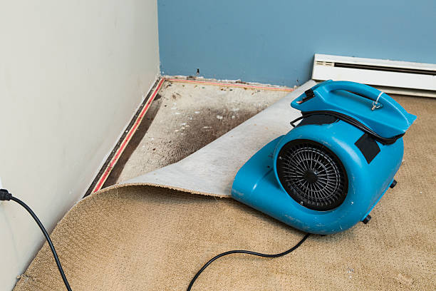 Trusted West Peoria, IL Water damage restoration Experts
